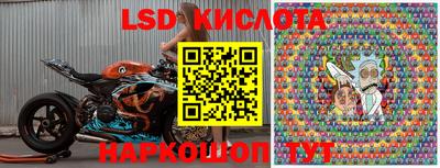 PSILOCYBIN Боровичи
